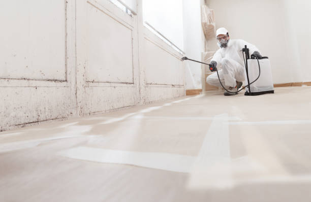 24/7 Emergency Mold Remediation experts in Zarephath, NJ